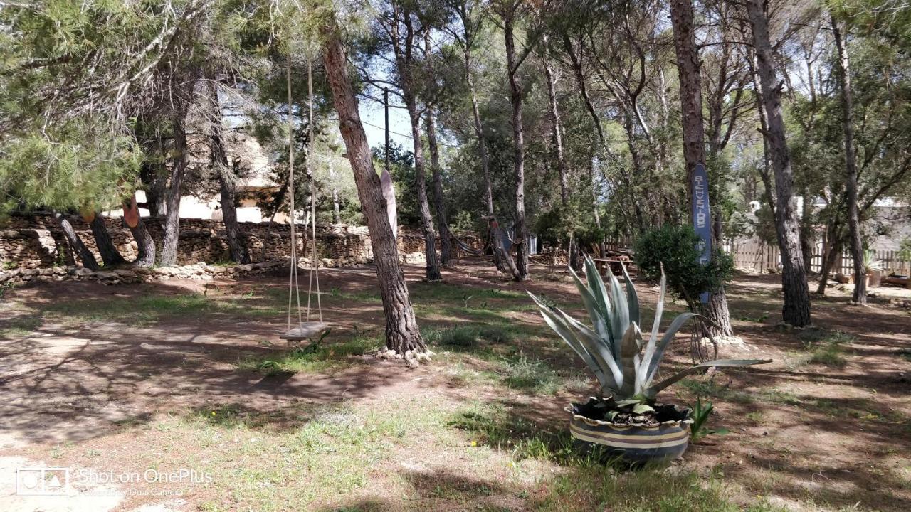 Casa Beja Villa San Francisco Javier Dış mekan fotoğraf